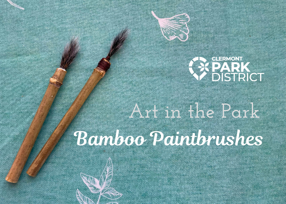 Two bamboo paintbrushes with animal hair bristles on a green cloth background, with white text that says: Art in the Park, Bamboo Paintbrushes